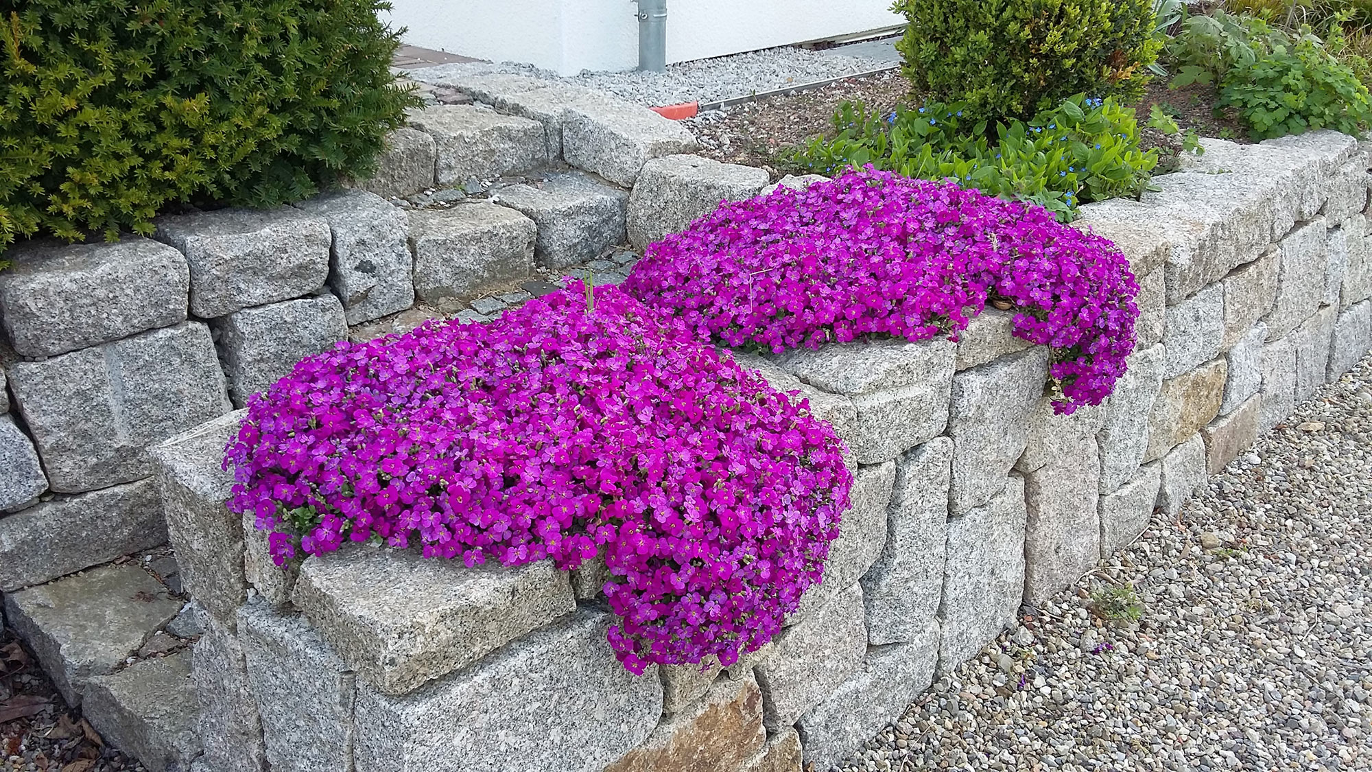 Foto eines Gartens mit Terasse im Innenhofes