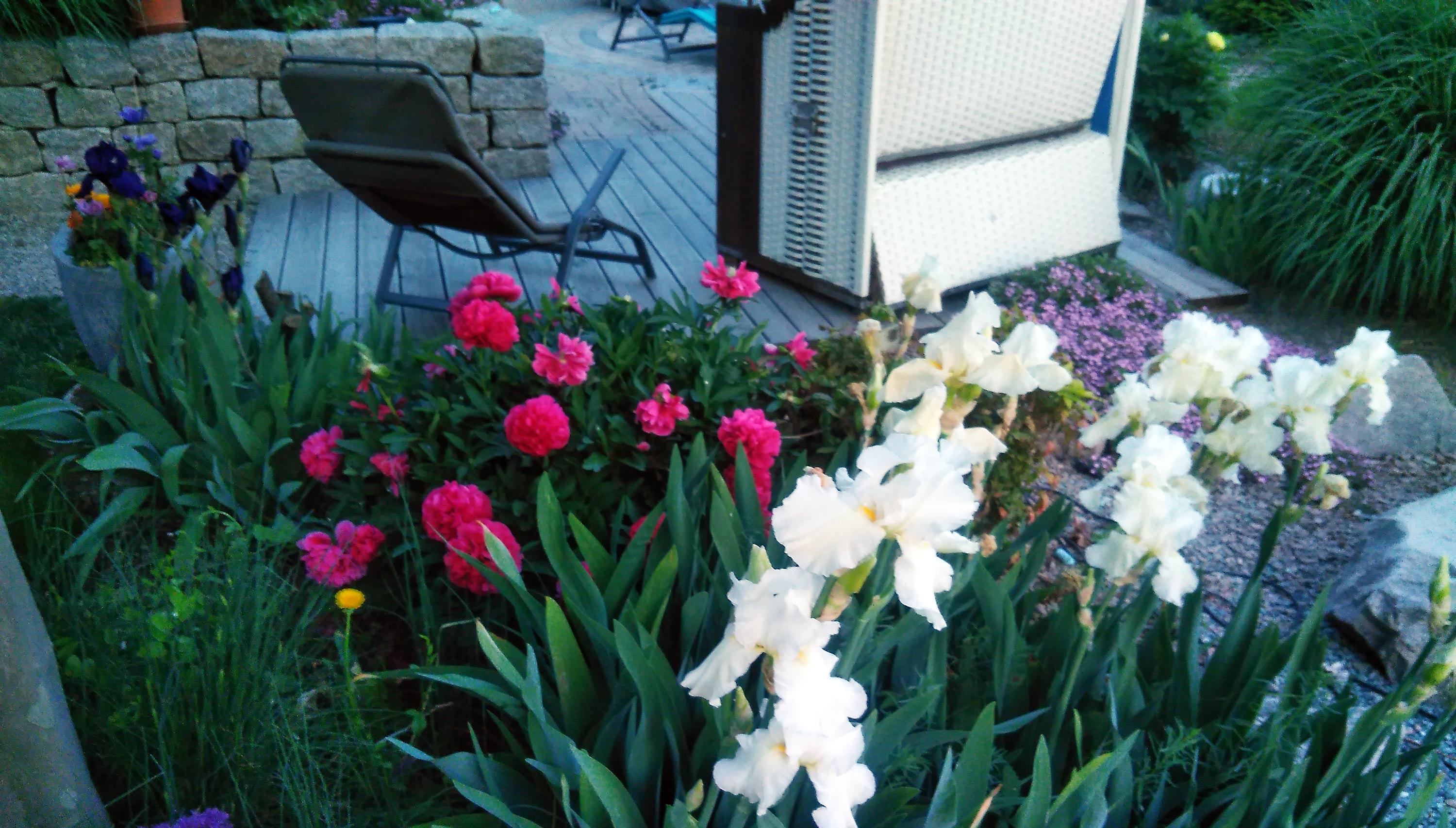 Blühender Garten, gepflanzt und angelegt von Flora Gartenbau
